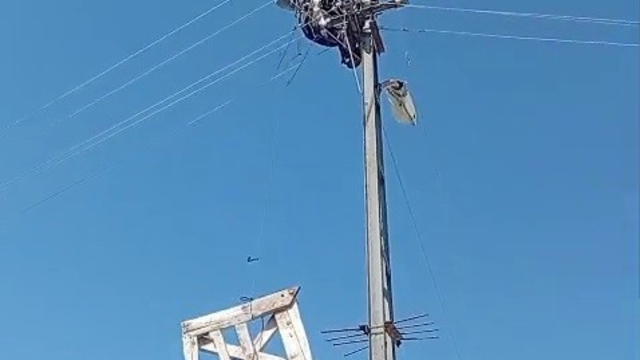 Aras Elektrik'ten doğa dostu adım: Fırtınada zarar gören leylek yuvaları yeniden yerine yerleştirildi