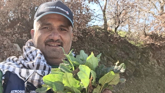Sarıgöl'de baharın habercisi ekşi kulak tezgahlarda yerini aldı