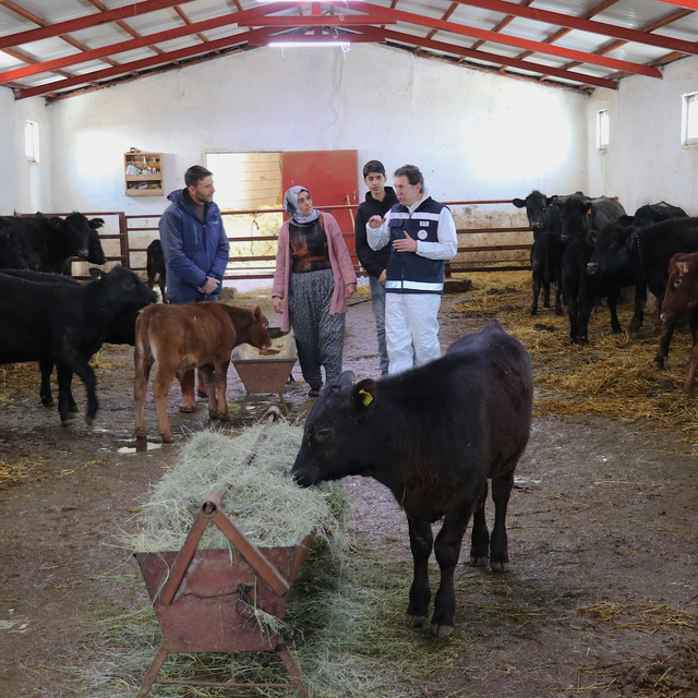 Devlet desteğiyle besiciliğe başlayan kadın çiftçi 5 ayda hayvan sayısını i...