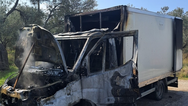 Ayvacık'ta kamyonet yangını