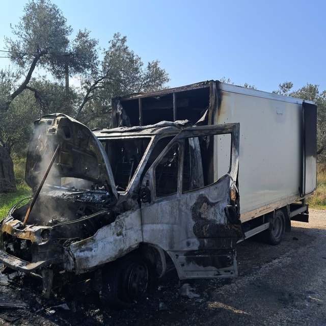 Ayvacık'ta kamyonet yangını