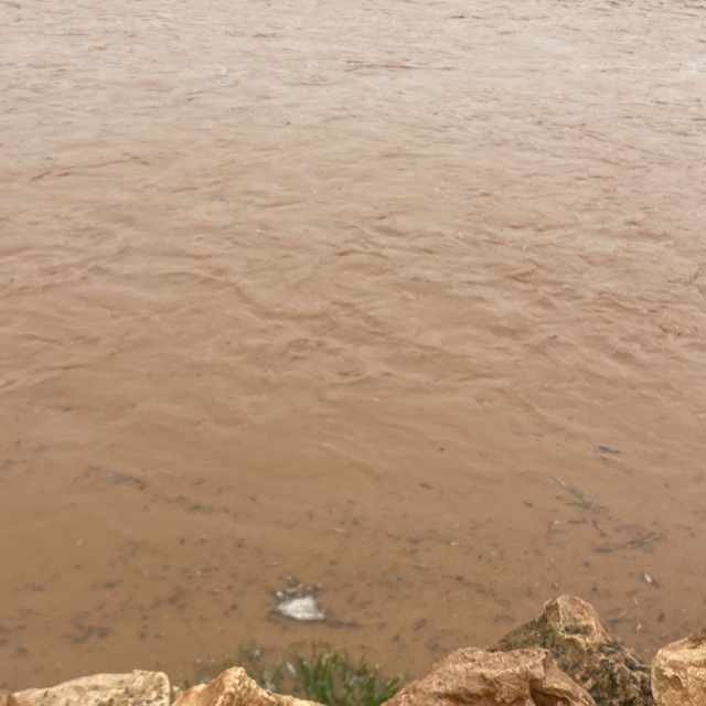Diyarbakır'da sağanak nedeni ile onlarca koyun telef oldu