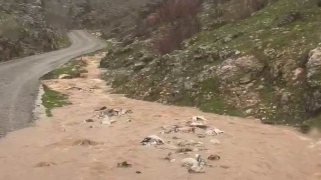 Silvan'da sağanak taşkınlara neden oldu