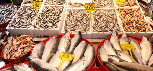 Trabzon'da ramazan ayında balığa talep arttı