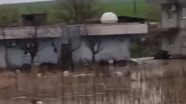 Kurtalan'da sağanak yağış sele dönüştü