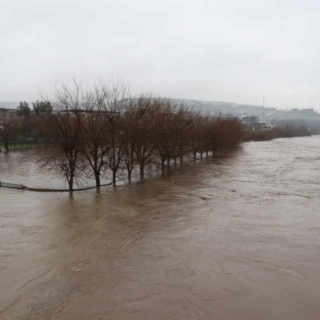 Diyarbakır'da sağanak sonrası dereler taştı, tarım arazilerini su bastı