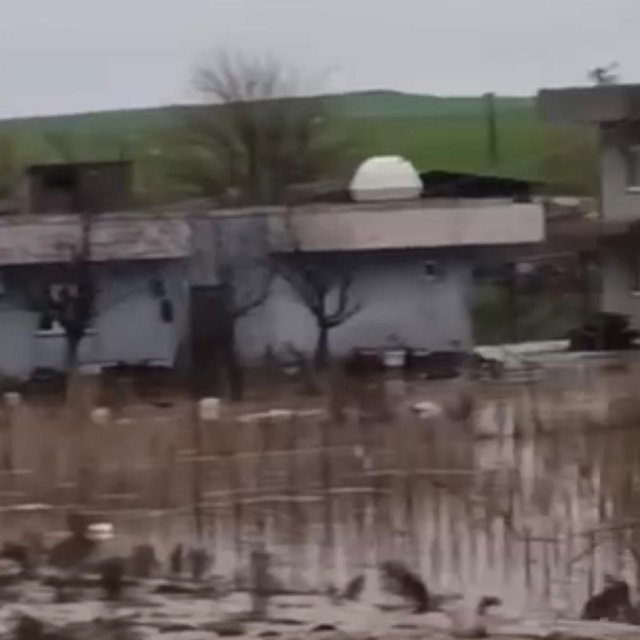 Kurtalan'da sağanak yağış sele dönüştü