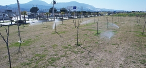 Manisa'da yeşil alanlarda akıllı sulama dönemi başladı