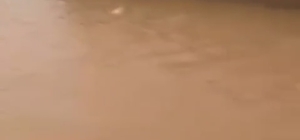 Mardin'de sağanak; dereler taştı, evler ile tarım arazilerini su bastı (2)