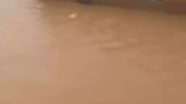 Mardin'de sağanak; dereler taştı, evler ile tarım arazilerini su bastı (2)