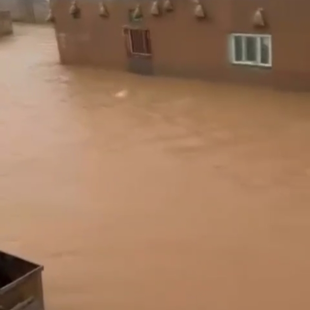 Mardin'de sağanak; dereler taştı, evler ile tarım arazilerini su bastı (2)