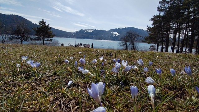Abant'ta karların ardından bahar manzarası