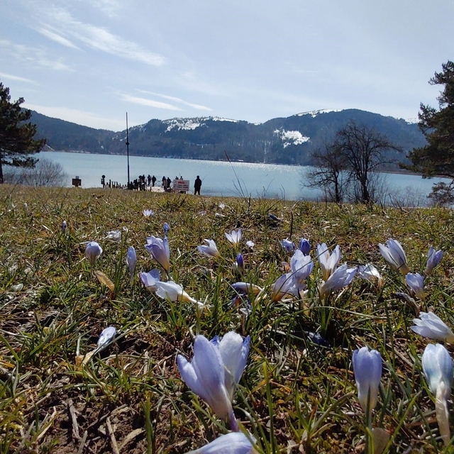 Abant'ta karların ardından bahar manzarası
