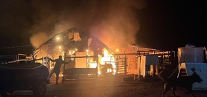 Kanatlı ve küçükbaş hayvan çiftliğinde yangın: 580 hayvan öldü