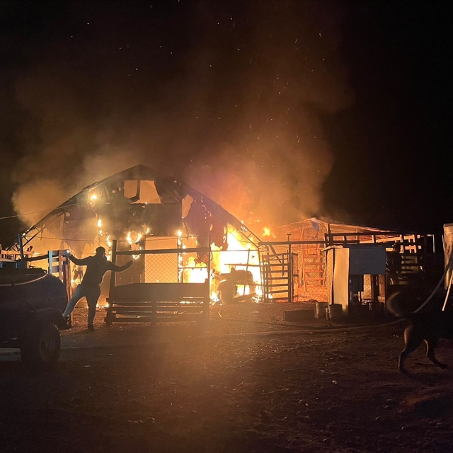 Kanatlı ve küçükbaş hayvan çiftliğinde yangın: 580 hayvan öldü