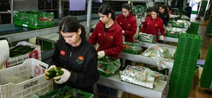 İran savaşı sonrası Türkiye'den Rusya'ya sebze ihracatı arttı