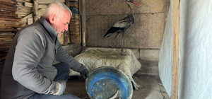 Donmak üzereyken bulduğu leyleği, 2,5 aylık bakım sonrası doğaya bıraktı