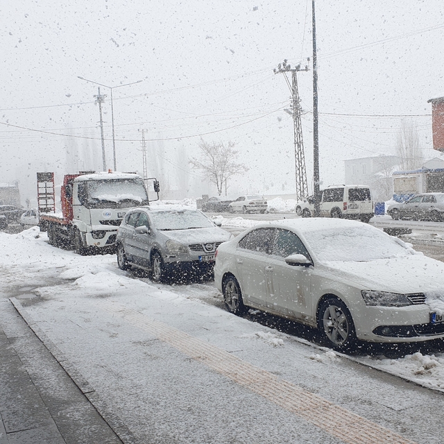 Başkale'de kar yağışı