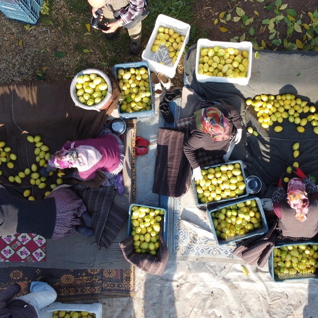 Tarım-ÜFE yıllık yüzde 40,10 arttı