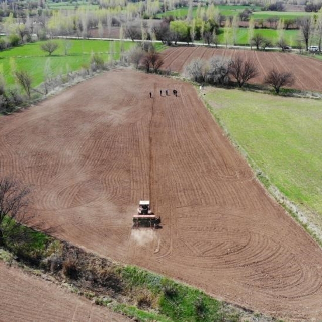 Çiftçinin enflasyonu şubatta yavaşladı