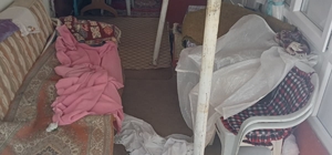 Ayıların Sis Dağı’ndaki yayla evlerine girme mesaisi yeniden başladı