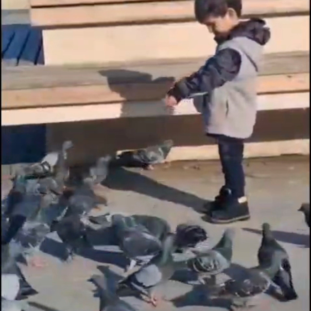 Çöp kamyonun altında kalıp ölen Serhat'ın son görüntüleri ortaya çıktı