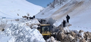 Kar kalınlığı 3 metreyi aşmıştı: Tunceli'de kapalı köy yolu kalmadı
