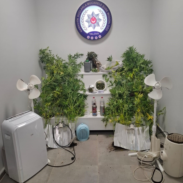 Yalova'da saklandığı evde uyuşturucu yetiştiren hükümlü yakalandı