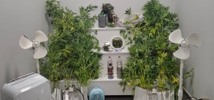 Yalova'da saklandığı evde uyuşturucu yetiştiren hükümlü yakalandı