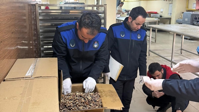 Haliliye'de 180 kilogram küflenmiş ceviz ele geçirildi