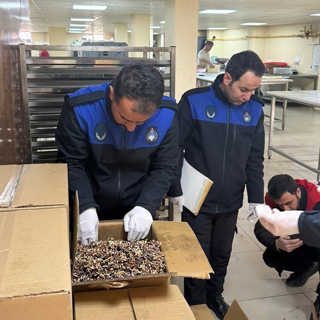 Haliliye'de 180 kilogram küflenmiş ceviz ele geçirildi