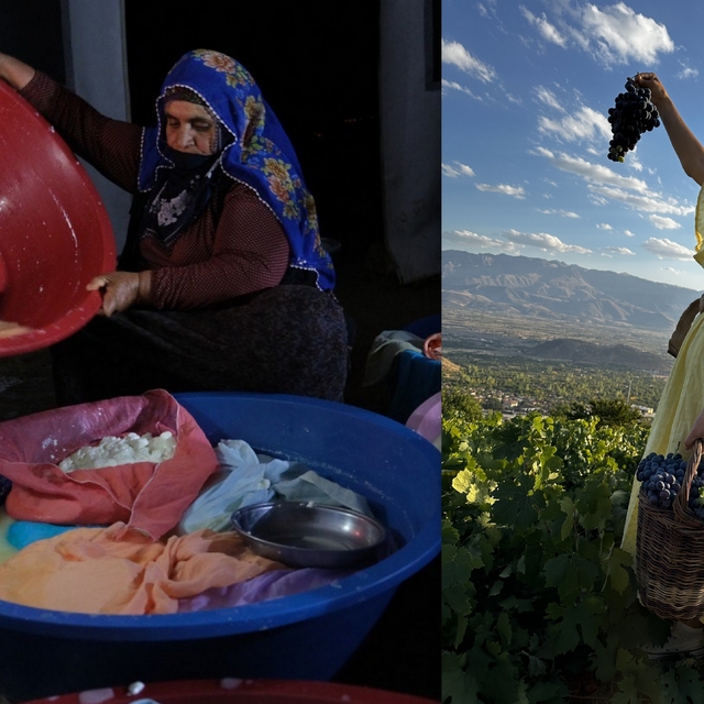 Erzincan Tulum Peyniri ve Cimin Üzümü dünya çapında tescillendi
Erzincan'ın...