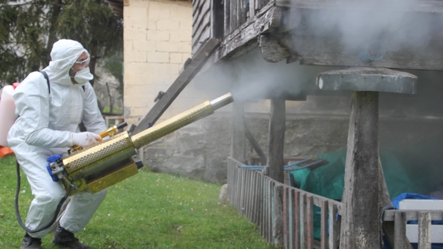 Ordu'da kahverengi kokarca ile kışlak mücadelesi: 330 bin noktadan 190 bini ilaçlandı
İl Tarım ve Orman Müdürü Bayram Ay: "Mücadelede kesinti olmaması gerekiyor"