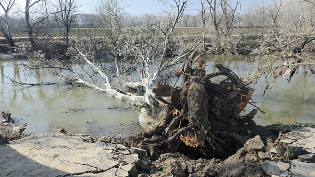 Tunca Nehri kıyısında toprak kayması: 9 yıl sonra gelen taşkınlar zemini etkiledi