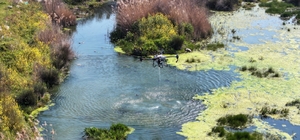 Manisa'da sivrisinek alarmı Yaklaşan yaz ayları öncesi Manisa'da sivrisinek ve zararlı haşerelere karşı mücadele yoğunlaştırıldı