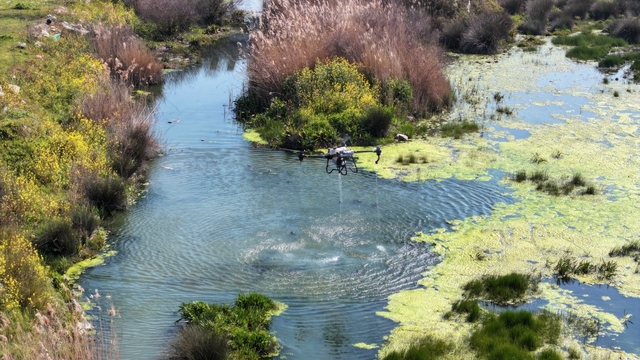 Manisa'da sivrisinek alarmı
Yaklaşan yaz ayları öncesi Manisa'da sivrisinek ve zararlı haşerelere karşı mücadele yoğunlaştırıldı