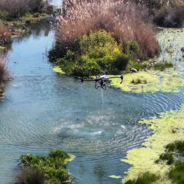 Manisa'da sivrisinek alarmı
Yaklaşan yaz ayları öncesi Manisa'da sivrisinek...