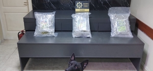 Sakarya'ya il dışından uyuşturucu madde sevkiyatı yapan 2 zanlı tutuklandı