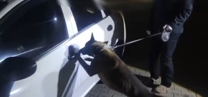 İstanbul'dan takibe alındılar, Sakarya'da yakalandılar: 2 kişi tutuklandı