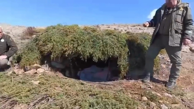 Elazığ'da kaçak meterisler  imha edildi