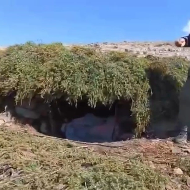 Elazığ'da kaçak meterisler  imha edildi