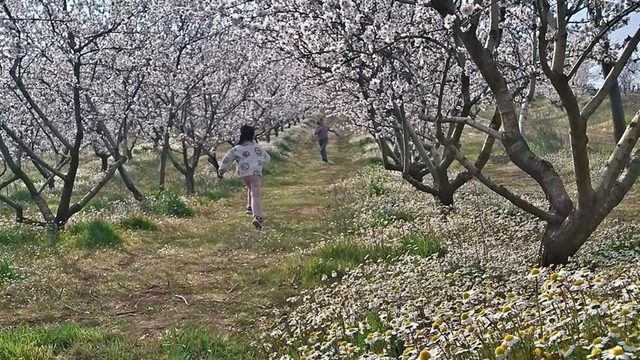 Sarıgöl'de kartpostallık manzara