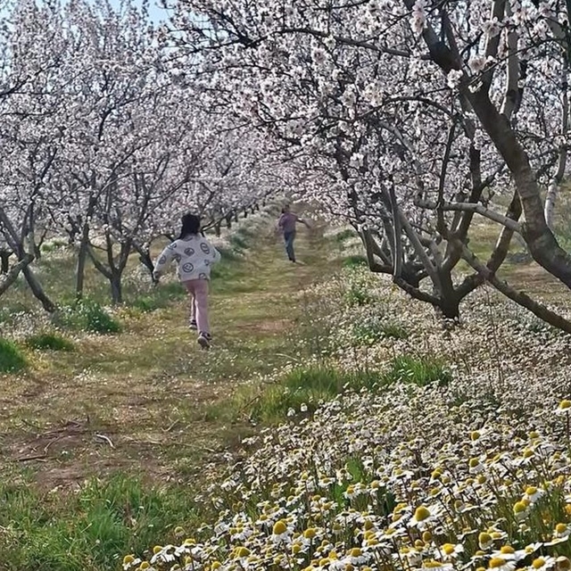 Sarıgöl'de kartpostallık manzara