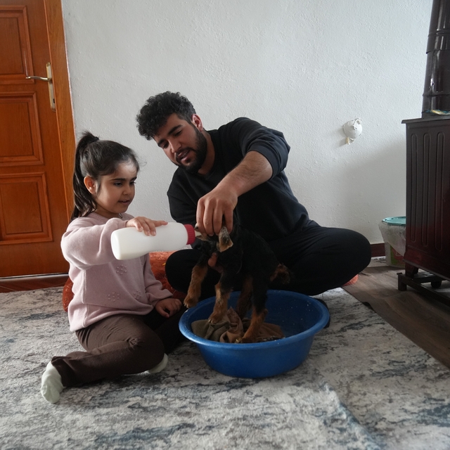 Muş'ta yeni doğan oğlaklara özenli bakım