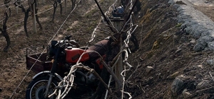 Manisa'da sepetli motosiklet üzüm bağına devrildi: 1 ölü