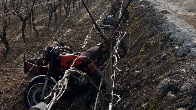 Manisa'da sepetli motosiklet üzüm bağına devrildi: 1 ölü