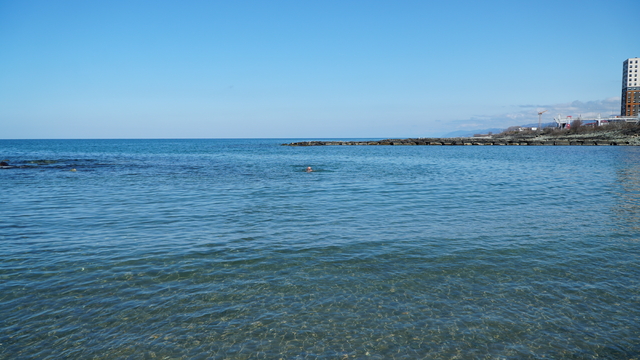 Karadeniz'de 4 mevsim kulaç atıyor