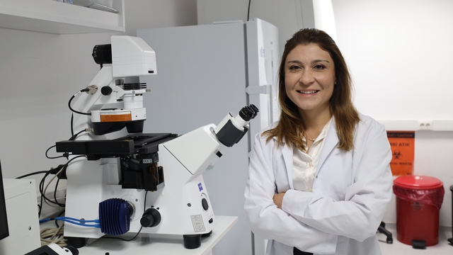 Kemik erimesinin tedavisinde uluslararası iş birliği
Balıkta denenecek, yaşlıların hayatını değiştirecek: Osteoporoza karşı 'ilaç' atağı