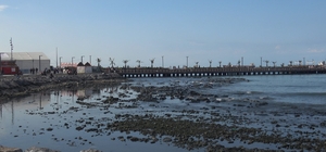 Kuvvetli fırtına sonrası İskenderun Körfezi'nde deniz suyu çekildi