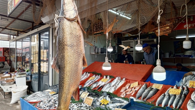 Karakaya Barajı'nda yakalanan 42 kiloluk turna balığı ilgi gördü